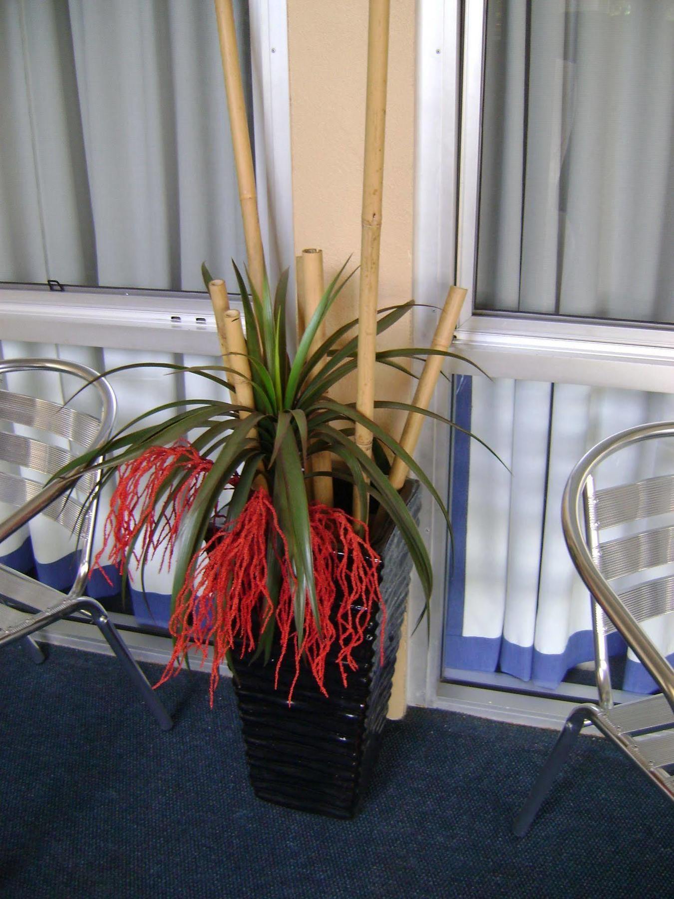 Rockhampton Court Motor Inn 외부 사진